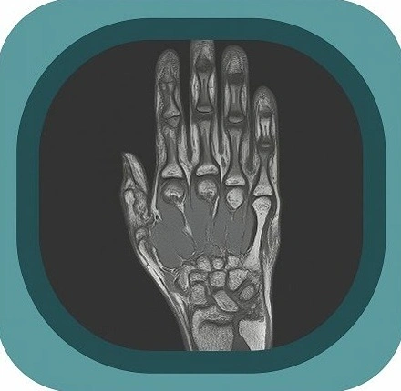 MRI  hand  spine anatomy icon